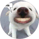 Foto de perfil de ricosuave gamez